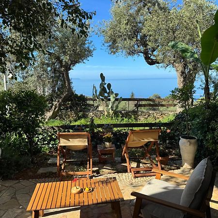Olives Terrace B2A5 Apartment Dhërmi Екстериор снимка